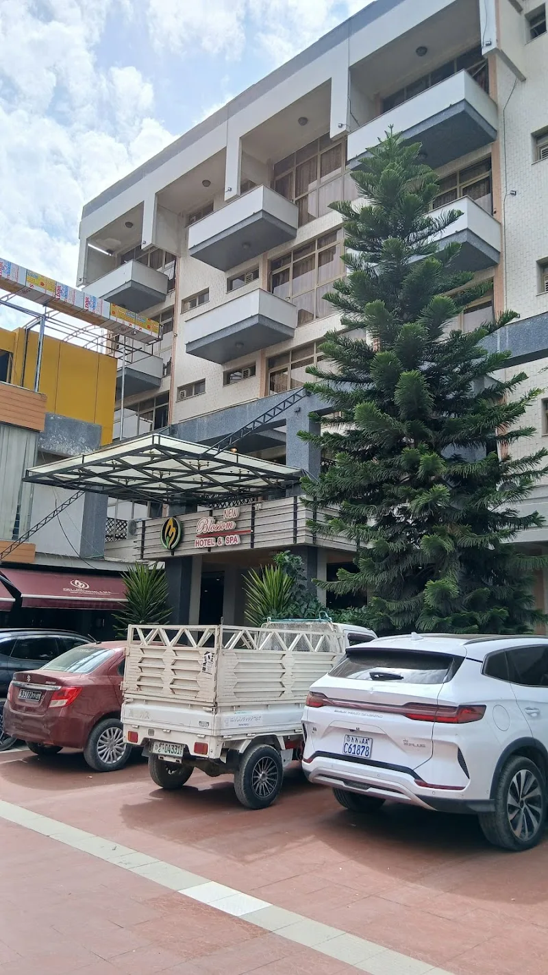 New Blossom, Hotel & Spa in Dire Dawa  view 4