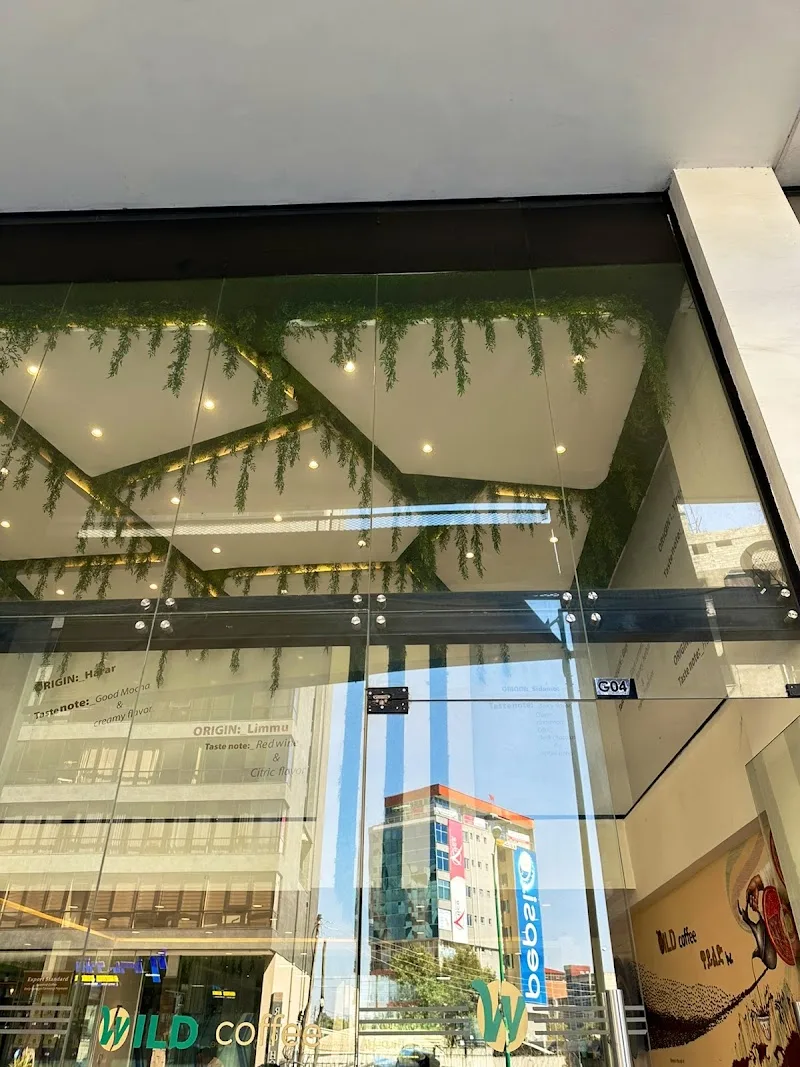 Wild Coffee 1st(GazeboSquare | ዋይልድ ቡና | ጋዜቦ አደባባይ in Addis Ababa  view 2