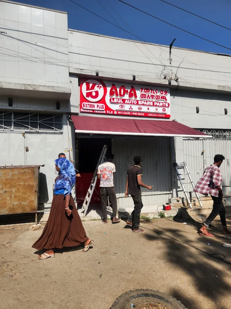 Sixteen plus general trading p.l.c Leul auto spare parts in Addis Ababa  view 2