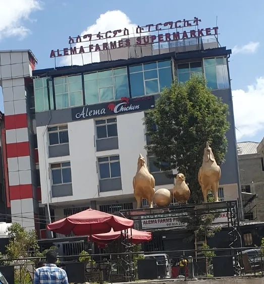 Alema Supermarket summit in Addis Ababa  view 2