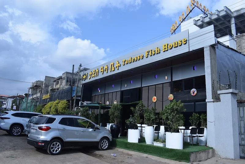 Tadesse Fish House Safari (ታደሰ ዓሳ ቤት) in Addis Ababa  view 2